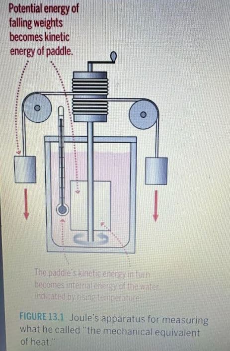 Potential energy of
falling weights
becomes kinetic
energy of paddle.
The paddle's kinetic energy in turn
becomes internal energy of the water
indicated by rising temperature
FIGURE 13.1 Joule's apparatus for measuring
what he called "the mechanical equivalent
of heat."
