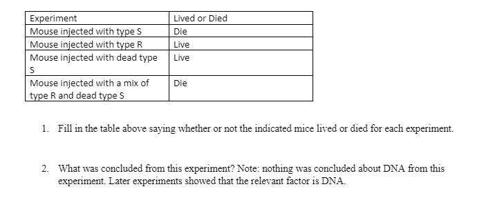 Experiment
Mouse injected with type S
Mouse injected with type R
Lived or Died
Die
Live
Mouse injected with dead type
Live
S
Mouse injected with a mix of
Die
type R and dead type S
1. Fill in the table above saying whether or not the indicated mice lived or died for each experiment.
2. What was concluded from this experiment? Note: nothing was concluded about DNA from this
experiment. Later experiments showed that the relevant factor is DNA.