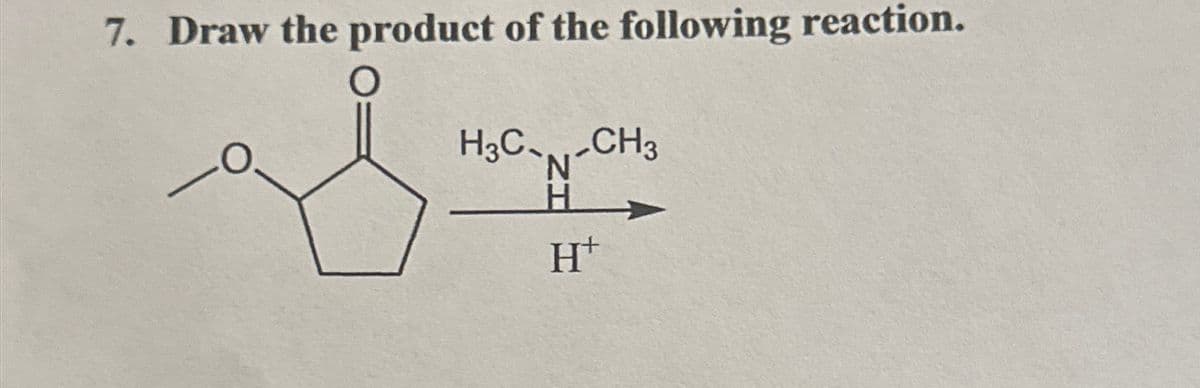7. Draw the product of the following reaction.
O
H3C-N-CH3
H
H+