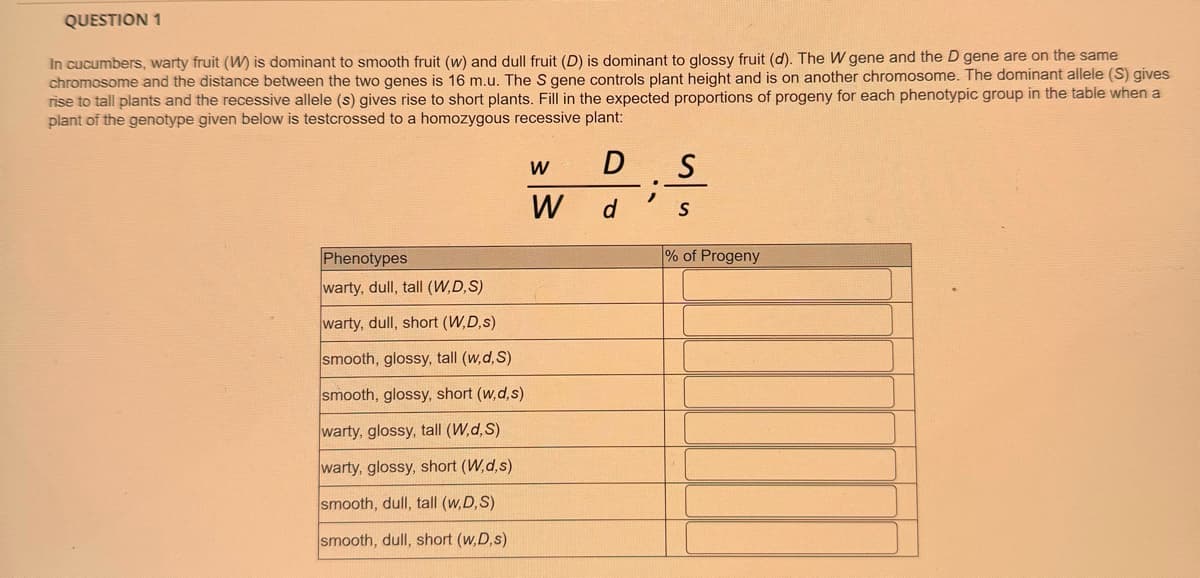 QUESTION 1
In cucumbers, warty fruit (W) is dominant to smooth fruit (w) and dull fruit (D) is dominant to glossy fruit (d). The W gene and the D gene are on the same
chromosome and the distance between the two genes is 16 m.u. The S gene controls plant height and is on another chromosome. The dominant allele (S) gives
rise to tall plants and the recessive allele (s) gives rise to short plants. Fill in the expected proportions of progeny for each phenotypic group in the table when a
plant of the genotype given below is testcrossed to a homozygous recessive plant:
Phenotypes
warty, dull, tall (W,D,S)
warty, dull, short (W,D,s)
smooth, glossy, tall (w,d,S)
smooth, glossy, short (w,d,s)
warty, glossy, tall (W,d,S)
warty, glossy, short (W,d,s)
smooth, dull, tall (w,D,S)
smooth, dull, short (w,D,s)
W
D S
W d
S
% of Progeny