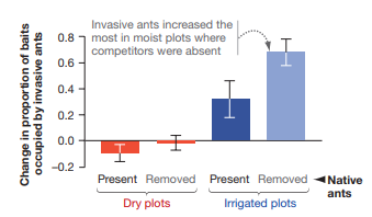 Change in proportion of baits
occupied by invasive ants
Invasive ants increased the
0.8most in moist plots where
competitors were absent
0.6-
0.4-
0.2
0.0
-0.2
Present Removed Present Removed Native
Dry plots
ants
Irrigated plots
