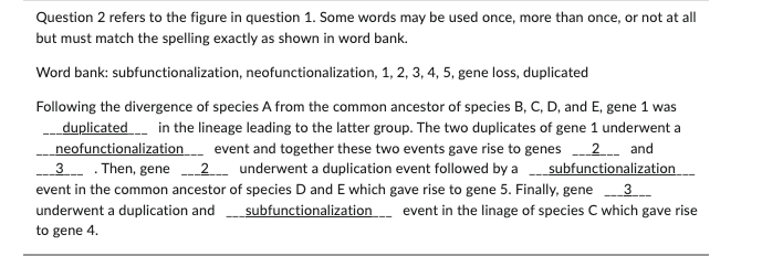 Question 2 refers to the figure in question 1. Some words may be used once, more than once, or not at all
but must match the spelling exactly as shown in word bank.
Word bank: subfunctionalization, neofunctionalization, 1, 2, 3, 4, 5, gene loss, duplicated
Following the divergence of species A from the common ancestor of species B, C, D, and E, gene 1 was
_ duplicated in the lineage leading to the latter group. The two duplicates of gene 1 underwent a
neofunctionalization event and together these two events gave rise to genes
underwent a duplication event followed by a
2 and
subfunctionalization
3
3. Then, gene 2
event in the common ancestor of species D and E which gave rise to gene 5. Finally, gene
underwent a duplication and
subfunctionalization
event in the linage of species C which gave rise
to gene 4.