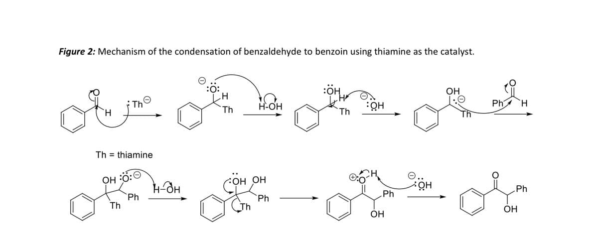 Figure 2: Mechanism of the condensation of benzaldehyde to benzoin using thiamine as the catalyst.
:ÖH
OH
요
*The
Th
H-OH
:OH
Ph H
Th
ou
Th thiamine
OH
:Ö:
Th
Ph
4-дн
OH OH
OH
Ph
Ph
Ph
Th
OH
OH
