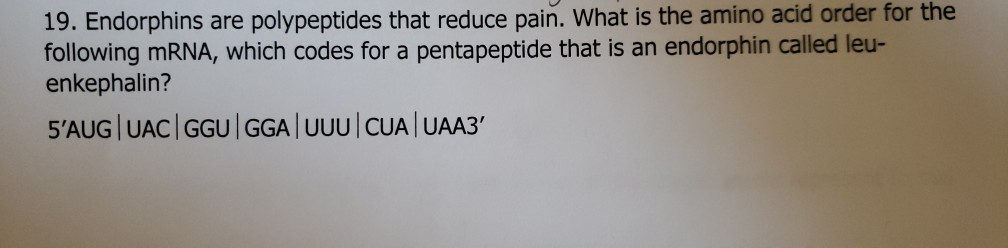 19. Endorphins are polypeptides that reduce pain. What is the amino acid order for the
following mRNA, which codes for a pentapeptide that is an endorphin called leu-
enkephalin?
5'AUG UAC |GGU | GGA UUU | CUA| UAA3'