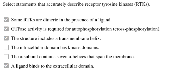 Select statements that accurately describe receptor tyrosine kinases (RTKs).
Some RTKs are dimeric in the presence of a ligand.
GTPase activity is required for autophosphorylation (cross-phosphorylation).
The structure includes a transmembrane helix.
The intracellular domain has kinase domains.
The a subunit contains seven a helices that span the membrane.
A ligand binds to the extracellular domain.