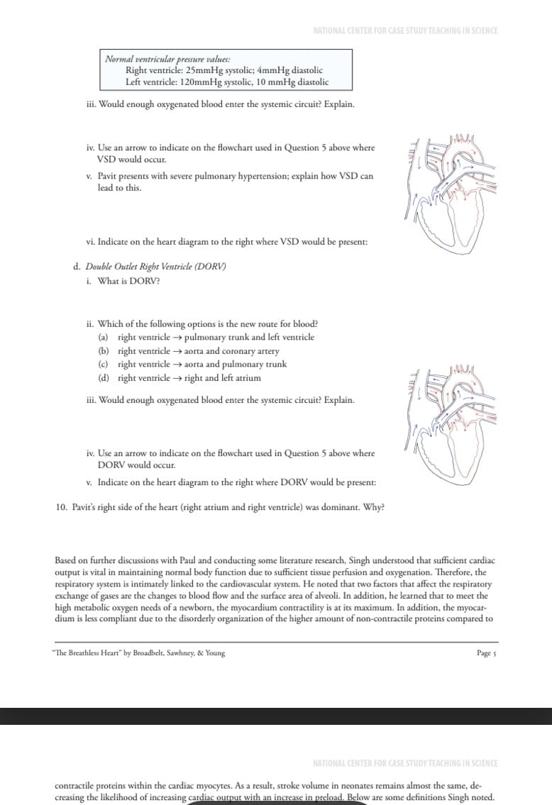 NATIONAL CENTER FOR CASE STUDY TEACHING IN SCIENCE
Normal ventricular pressure values:
Right ventricle: 25mmHg systolic; 4mmHg diastolic
Left ventricle: 120mmHg systolic, 10 mmHg diastolic
iii. Would enough oxygenated blood enter the systemic circuit? Explain.
iv. Use an arrow to indicate on the flowchart used in Question 5 above where
VSD would occur.
v. Pavit presents with severe pulmonary hypertension; explain how VSD can
lead to this.
vi. Indicate on the heart diagram to the right where VSD would be present:
d. Double Outlet Right Ventricle (DORV)
i. What is DORV?
ii. Which of the following options is the new route for blood?
(a) right ventricle → pulmonary trunk and left ventricle
(b) right ventricle→aorta and coronary artery
(c) right ventricle → aorta and pulmonary trunk
(d) right ventricle → right and left atrium
iii. Would enough oxygenated blood enter the systemic circuit? Explain.
iv. Use an arrow to indicate on the flowchart used in Question 5 above where
DORV would occur.
v. Indicate on the heart diagram to the right where DORV would be present:
10. Pavir's right side of the heart (right atrium and right ventricle) was dominant. Why?
Based on further discussions with Paul and conducting some literature research, Singh understood that sufficient cardiac
output is vital in maintaining normal body function due to sufficient tissue perfusion and oxygenation. Therefore, the
respiratory system is intimately linked to the cardiovascular system. He noted that two factors that affect the respiratory
exchange of gases are the changes to blood flow and the surface area of alveoli. In addition, he learned that to meet the
high metabolic oxygen needs of a newborn, the myocardium contractility is at its maximum. In addition, the myocar-
dium is less compliant due to the disorderly organization of the higher amount of non-contractile proteins compared to
"The Breathless Heart" by Broadbelt, Sawhney, & Young
Page 5
NATIONAL CENTER FOR CASE STUDY TEACHING IN SCIENCE
contractile proteins within the cardiac myocytes. As a result, stroke volume in neonates remains almost the same, de-
creasing the likelihood of increasing cardiac output with an increase in preload. Below are some definitions Singh noted.