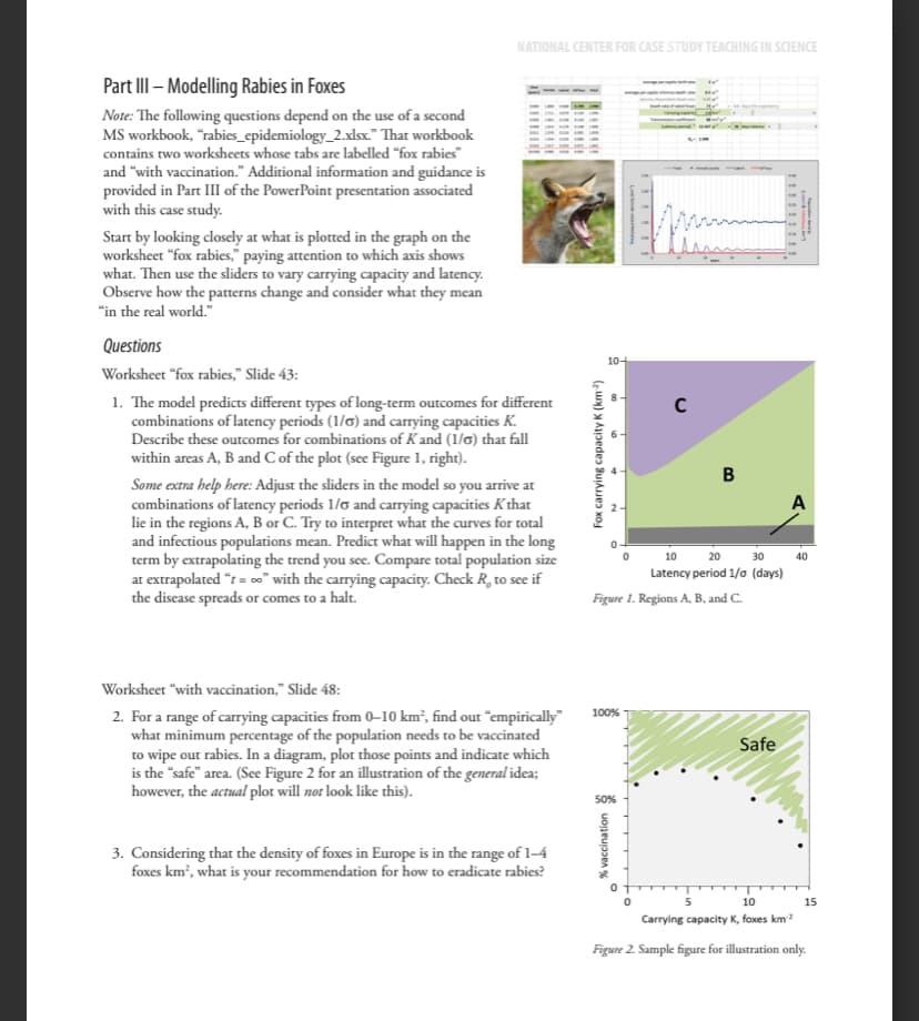 NATIONAL CENTER FOR CASE STUDY TEACHING IN SCIENCE
Part III - Modelling Rabies in Foxes
Note: The following questions depend on the use of a second
MS workbook, "rabies_epidemiology_2.xlsx." That workbook
contains two worksheets whose tabs are labelled "fox rabies"
and "with vaccination." Additional information and guidance is
provided in Part III of the PowerPoint presentation associated
with this case study.
Start by looking closely at what is plotted in the graph on the
worksheet "fox rabies," paying attention to which axis shows
what. Then use the sliders to vary carrying capacity and latency.
Observe how the patterns change and consider what they mean
"in the real world."
Questions
Worksheet "fox rabies," Slide 43:
1. The model predicts different types of long-term outcomes for different
combinations of latency periods (1/6) and carrying capacities K.
Describe these outcomes for combinations of Kand (1/6) that fall
within areas A, B and C of the plot (see Figure 1, right).
Some extra help here: Adjust the sliders in the model so you arrive at
combinations of latency periods 1/6 and carrying capacities K that
lie in the regions A, B or C. Try to interpret what the curves for total
and infectious populations mean. Predict what will happen in the long
term by extrapolating the trend you see. Compare total population size
at extrapolated "t=0" with the carrying capacity. Check R, to see if
the disease spreads or comes to a halt.
Fox carrying capacity K (km2)
10-
C
10
20
!!!!!!!!!
B
A
30
Latency period 1/0 (days)
Figure 1. Regions A, B, and C.
40
40
Worksheet "with vaccination," Slide 48:
2. For a range of carrying capacities from 0-10 km², find out "empirically"
what minimum percentage of the population needs to be vaccinated
to wipe out rabies. In a diagram, plot those points and indicate which
is the "safe" area. (See Figure 2 for an illustration of the general idea;
however, the actual plot will not look like this).
3. Considering that the density of foxes in Europe is in the range of 1-4
foxes km², what is your recommendation for how to eradicate rabies?
100%
50%
% vaccination
Safe
10
Carrying capacity K, foxes km²
Figure 2. Sample figure for illustration only.
15