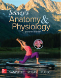 EBK SEELEY'S ANATOMY & PHYSIOLOGY - 11th Edition - by VanPutte - ISBN 8220102807433