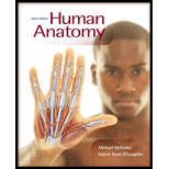 Human Anatomy, 3rd Edition - 3rd Edition - by Michael McKinley, Valerie Dean O'Loughlin - ISBN 9780073378091