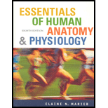 Essentials of Human Anatomy and Physiology - 8th Edition - by Marieb - ISBN 9780131934818