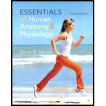 EBK ESSENTIALS OF HUMAN ANATOMY & PHYSI