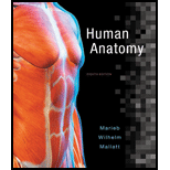 Human Anatomy (8th Edition)