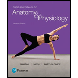 Fundamentals of Anatomy & Physiology (11th Edition)