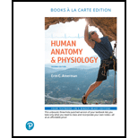 Human Anatomy & Physiology, Books a la Carte Edition (2nd Edition) - 2nd Edition - by Erin C. Amerman - ISBN 9780134754239