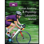 Human Anatomy & Physiology Laboratory Manual, Fetal Pig Version (13th Edition) - 13th Edition - by Elaine N. Marieb, Lori A. Smith - ISBN 9780134806365