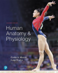 Human Anatomy & Physiology (11th Edition) - 11th Edition - by Marieb - ISBN 9780134807355