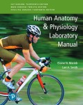 EBK HUMAN ANATOMY & PHYSIOLOGY LABORATO - 13th Edition - by SMITH - ISBN 9780134815626