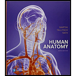 Pearson eText Human Anatomy -- Instant Access (Pearson+)