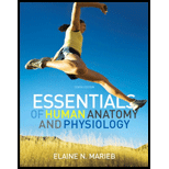 Essentials Of Human Anatomy & Physiology Laboratory Manual, And Essentials Of Human Anatomy & Physiology Plus Masteringa&p With Etext Package - 1st Edition - by Elaine N. Marieb - ISBN 9780321807076
