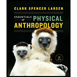 Essentials of Physical Anthropology (Third Edition)