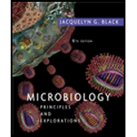 Microbiology: Principles And Explorations - 6th Edition - by Jacquelyn G. Black - ISBN 9780471420842