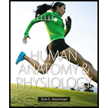 Human Anatomy & Physiology