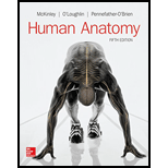 LooseLeaf for Human Anatomy
