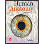 HUMAN ANATOMY - 6th Edition - by SALADIN - ISBN 9781260210262