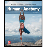 Human Anatomy - 6th Edition - by Michael McKinley - ISBN 9781260443875