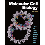 MOLECULAR CELL BIOLOGY (LOOSELEAF) - 9th Edition - by LODISH - ISBN 9781319365493