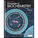 LEHNINGER PRIN.OF BIOCHEMISTRY-W/ACCESS - 8th Edition - by nelson - ISBN 9781319408909