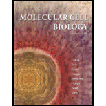 Molecular Cell Biology - 7th Edition - by Harvey Lodish, Arnold Berk, Chris A. Kaiser, Monty Krieger, Anthony Bretscher - ISBN 9781429234139