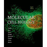 Molecular Cell Biology - 8th Edition - by Harvey Lodish, Arnold Berk, Chris A. Kaiser, Monty Krieger, Anthony Bretscher, Hidde Ploegh, Angelika Amon, Kelsey C. Martin - ISBN 9781464183393