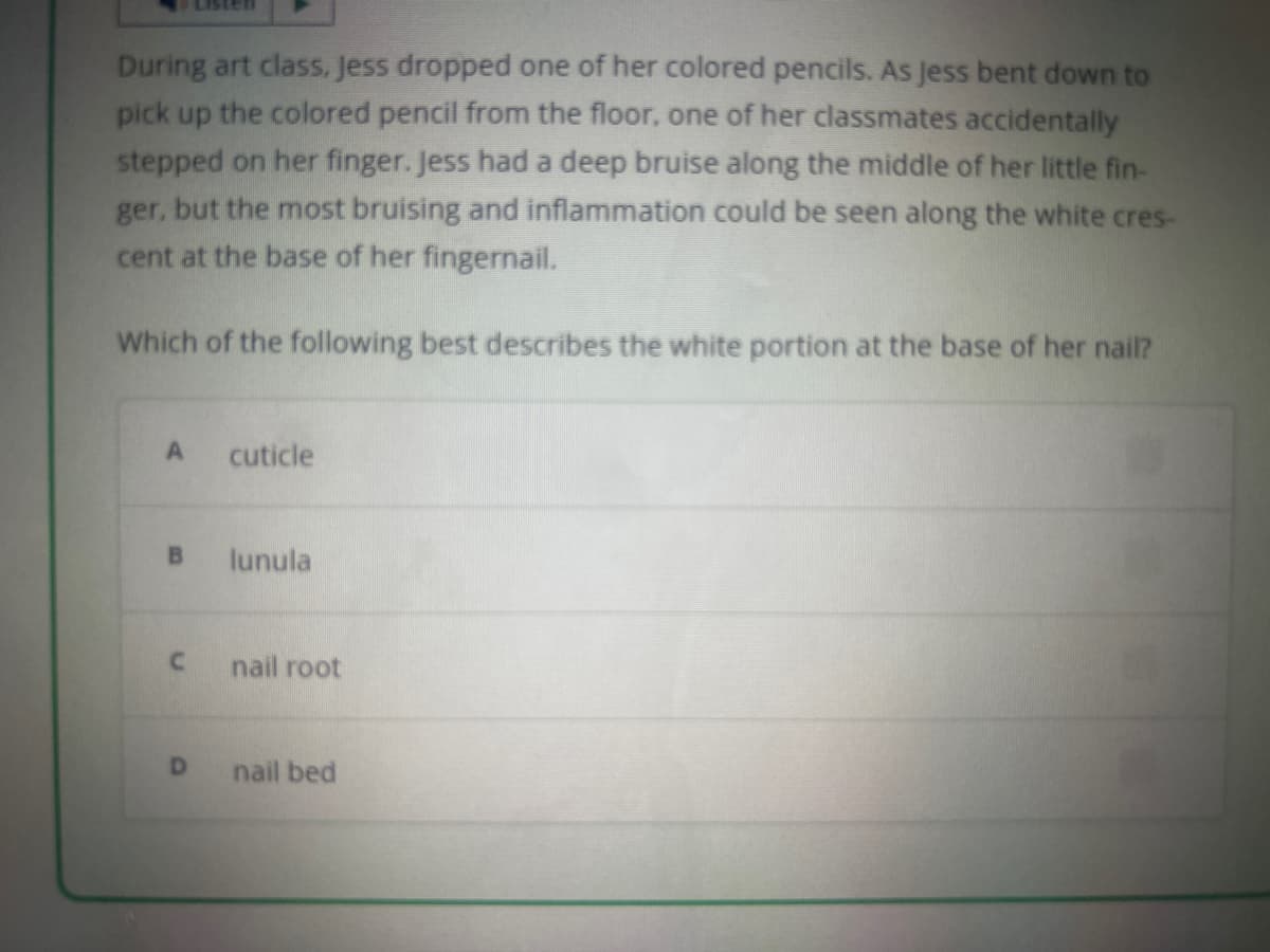 During art class, Jess dropped one of her colored pencils. As Jess bent down to
pick up the colored pencil from the floor, one of her classmates accidentally
stepped on her finger. Jess had a deep bruise along the middle of her little fin-
ger, but the most bruising and inflammation could be seen along the white cres-
cent at the base of her fingernail.
Which of the following best describes the white portion at the base of her nail?
A
B
C
D
cuticle
lunula
nail root
nail bed