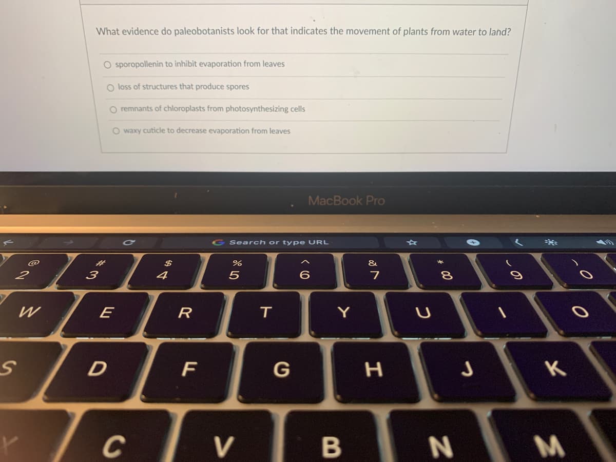 What evidence do paleobotanists look for that indicates the movement of plants from water to land?
O sporopollenin to inhibit evaporation from leaves
O loss of structures that produce spores
O remnants of chloroplasts from photosynthesizing cells
O waxy cuticle to decrease evaporation from leaves
MacBook Pro
G Search or type URL
%23
%
&
3
4
6.
7
W
E
R
Y
G
C
V
* 00
B
(O
ト
D.
