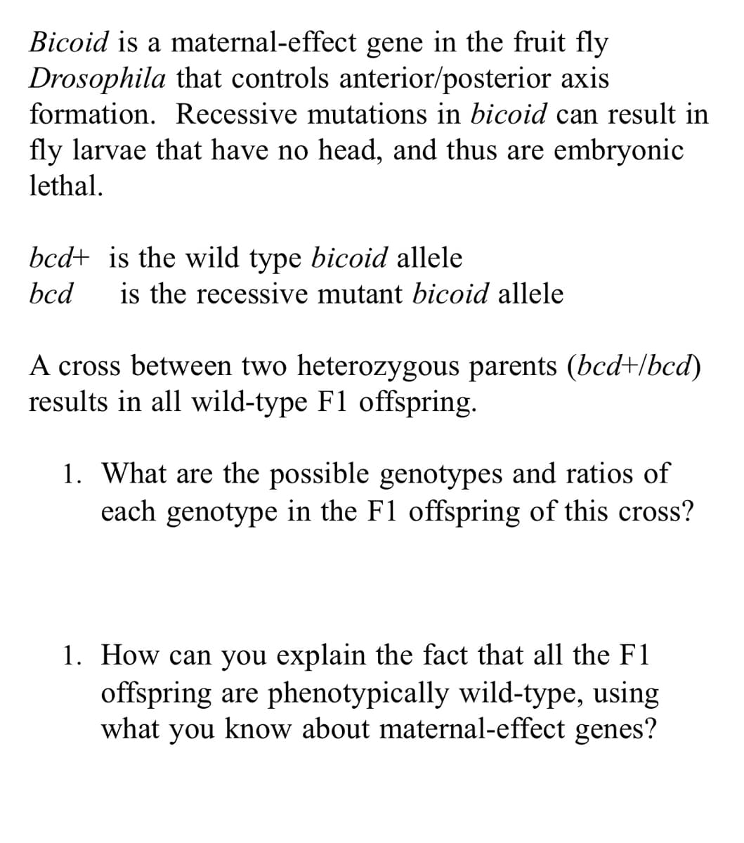 Bicoid is a maternal-effect gene in the fruit fly
Drosophila that controls anterior/posterior axis
formation. Recessive mutations in bicoid can result in
fly larvae that have no head, and thus are embryonic
lethal.
bcd+ is the wild type bicoid allele
bcd
is the recessive mutant bicoid allele
A cross between two heterozygous parents (bcd+/bcd)
results in all wild-type F1 offspring.
1. What are the possible genotypes and ratios of
each genotype in the F1 offspring of this cross?
1. How can you explain the fact that all the F1
offspring are phenotypically wild-type, using
what you know about maternal-effect genes?
