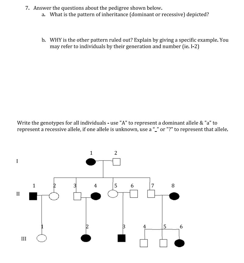 I
7. Answer the questions about the pedigree shown below.
a. What is the pattern of inheritance (dominant or recessive) depicted?
Write the genotypes for all individuals - use "A" to represent a dominant allele & "a" to
represent a recessive allele, if one allele is unknown, use a "_" or "?" to represent that allele.
II
III
b. WHY is the other pattern ruled out? Explain by giving a specific example. You
may refer to individuals by their generation and number (ie. 1-2)
1
3
1
2
5
3
6
7
5
8
6