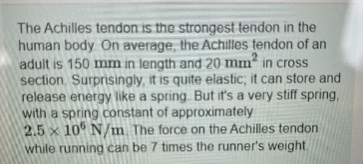 The Achilles tendon is the strongest tendon in the
human body. On average, the Achilles tendon of an
adult is 150 mm in length and 20 mm in cross
section. Surprisingly, it is quite elastic; it can store and
release energy like a spring But it's a very stiff spring,
with a spring constant of approximately
2.5 x 10° N/m The force on the Achilles tendon
while running can be 7 times the runner's weight.
