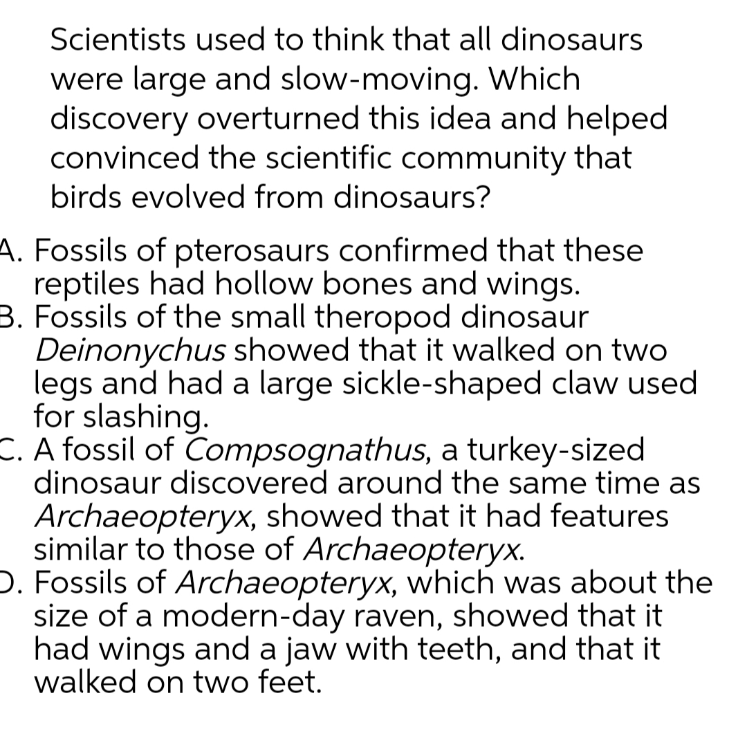 Scientists used to think that all dinosaurs
were large and slow-moving. Which
discovery overturned this idea and helped
convinced the scientific community that
birds evolved from dinosaurs?
A. Fossils of pterosaurs confirmed that these
reptiles had hollow bones and wings.
B. Fossils of the small theropod dinosaur
Deinonychus showed that it walked on two
legs and had a large sickle-shaped claw used
for slashing.
C. A fossil of Compsognathus, a turkey-sized
dinosaur discovered around the same time as
Archaeopteryx, showed that it had features
similar to those of Archaeopteryx.
D. Fossils of Archaeopteryx, which was about the
size of a modern-day raven, showed that it
had wings and a jaw with teeth, and that it
walked on two feet.

