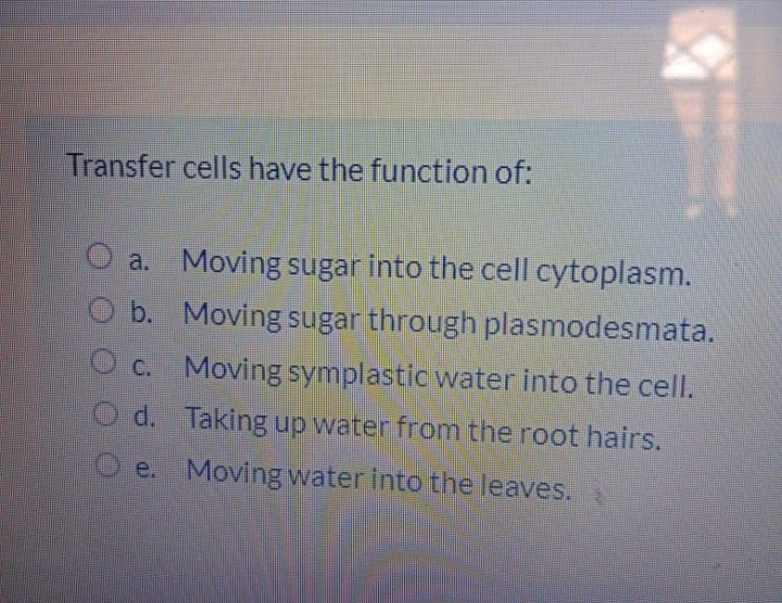 Transfer cells have the function of:
a. Moving sugar into the cell cytoplasm.
O b. Moving sugar through plasmodesmata.
C. Moving symplastic water into the cell.
d. Taking up water from the root hairs.
e. Moving water into the leaves.
