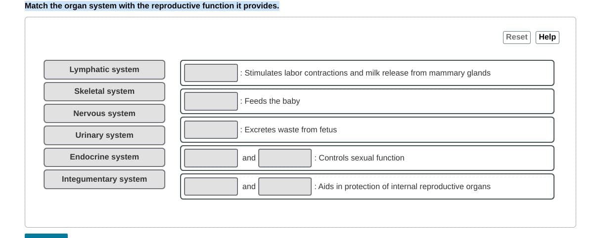 Match the organ system with the reproductive function it provides.
Reset
Help
Lymphatic system
: Stimulates labor contractions and milk release from mammary glands
Skeletal system
: Feeds the baby
Nervous system
Excretes waste from fetus
Urinary system
Endocrine system
and
Controls sexual function
Integumentary system
and
: Aids in protection of internal reproductive organs
