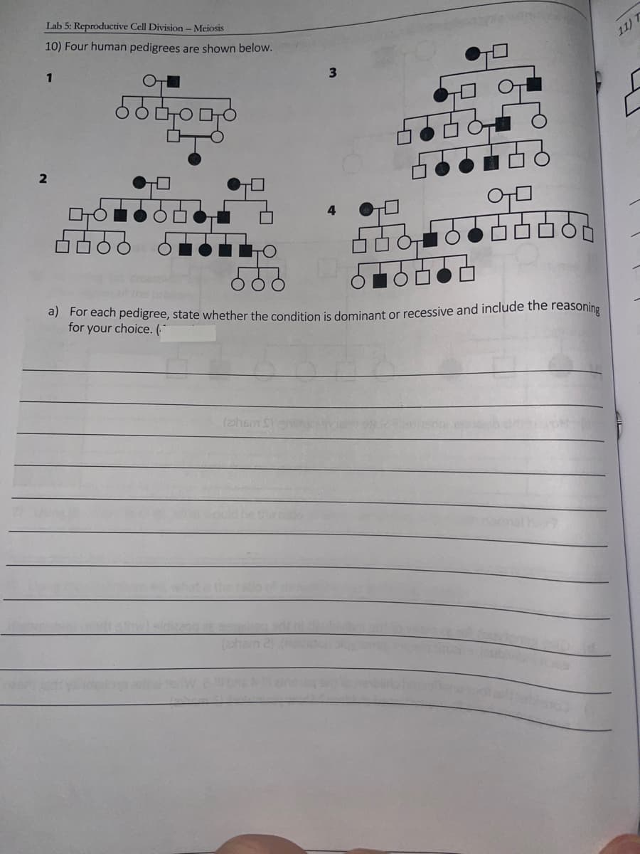 Lab 5: Reproductive Cell Division - Meiosis
10) Four human pedigrees are shown below.
1
2
마ㅇ
50마
ㅇ
3
ㅁㅁㅁㅁ
ㅇㅁ
a) For each pedigree, state whether the condition is dominant or recessive and include the reasoning
for your choice. (
(2h6m Sh
11) 7
{