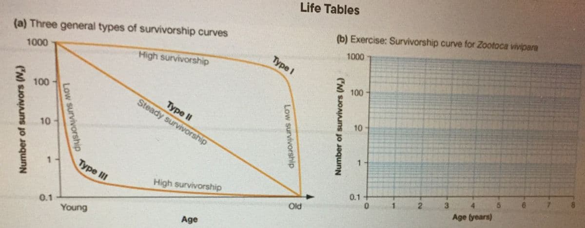 Life Tables
(b) Exercise: Survivorship curve for Zootoca vivipara
(a) Three general types of survivorship curves
1000
Type I
1000
High survivorship
100
100
Турe I
Steady survivorship
10-
10
8.
Type II
7.
1 -
0.1+
3.
4.
High survivorship
2.
Age tyears)
Old
0.1
Young
Age
1.
Number of survivors (N,)
Low survivorship
Low survivorship
Number of survivors (N,)
