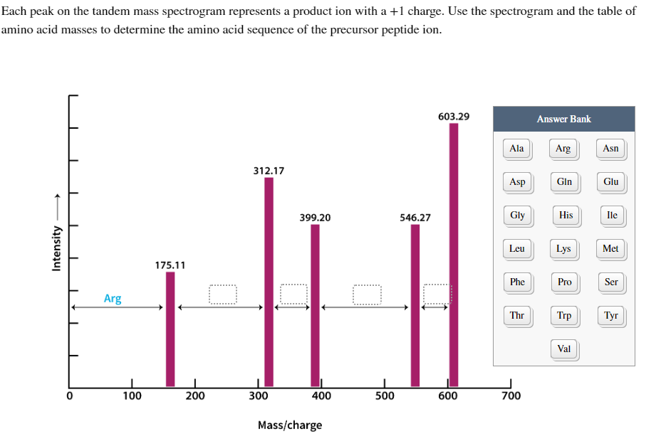 Each peak on the tandem mass spectrogram represents a product ion with a +1 charge. Use the spectrogram and the table of
amino acid masses to determine the amino acid sequence of the precursor peptide ion.
4
Intensity
I
Arg
100
175.11
200
312.17
300
399.20
400
Mass/charge
O
500
546.27
603.29
600
Ala
Asp
Gly
Leu
Phe
Thr
700
Answer Bank
Arg
Gin
His
Lys
Pro
Trp
Val
Asn
Glu
Ile
Met
Ser
Tyr