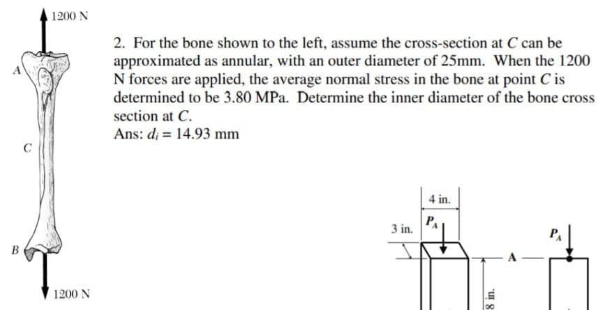 1200 N
2. For the bone shown to the left, assume the cross-section at C can be
approximated as annular, with an outer diameter of 25mm. When the 1200
N forces are applied, the average normal stress in the bone at point C is
determined to be 3.80 MPa. Determine the inner diameter of the bone cross
section at C.
Ans: d; = 14.93 mm
4 in.
P
3 in.
B
1200 N
"UI 8
