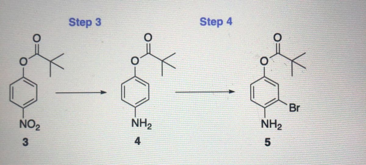 Step 3
Step 4
Br
NO2
NH2
NH2
3
4
5
