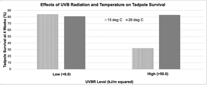 90
€80
Tadpole Survival at 4 Weeks (%)
70
60
50
40
30
20
10
0
Effects of UVB Radiation and Temperature on Tadpole Survival
Low (<6.0)
15 deg C = 26 deg C
UVBR Level (kJ/m squared)
High (>50.0)