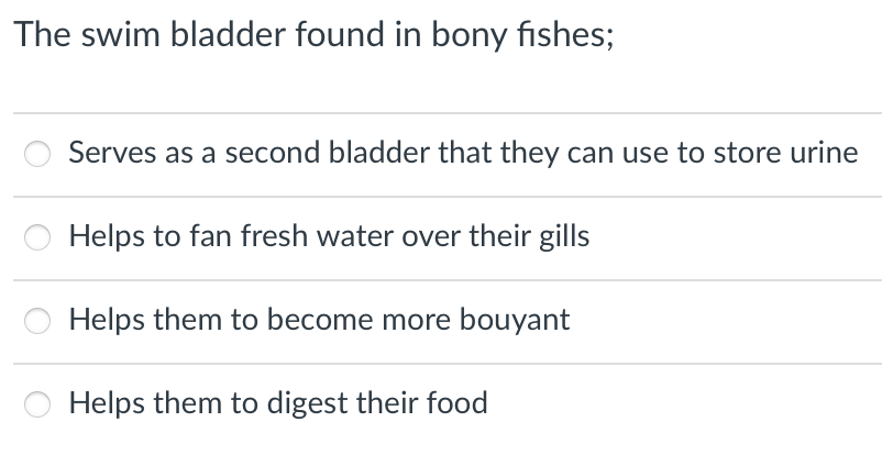 The swim bladder found in bony fishes;
Serves as a second bladder that they can use to store urine
Helps to fan fresh water over their gills
Helps them to become more bouyant
Helps them to digest their food
