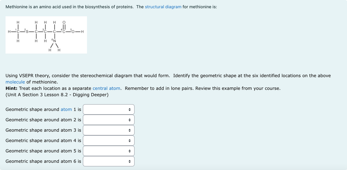 Methionine is an amino acid used in the biosynthesis of proteins. The structural diagram for methionine is:
Н
3
S C
C -C
+HU
Н 6N
H H
Н
50-H
Using VSEPR theory, consider the stereochemical diagram that would form. Identify the geometric shape at the six identified locations on the above
molecule of methionine.
Hint: Treat each location as a separate central atom. Remember to add in lone pairs. Review this example from your course.
(Unit A Section 3 Lesson 8.2 - Digging Deeper)
Geometric shape around atom 1 is
Geometric shape around atom 2 is
Geometric shape around atom 3 is
Geometric shape around atom 4 is
Geometric shape around atom 5 is
Geometric shape around atom 6 is
◆
◆
◆
◆
◆
