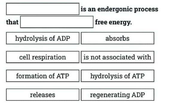 that
hydrolysis of ADP
cell respiration
formation of ATP
releases
is an endergonic process
free energy.
absorbs
is not associated with
hydrolysis of ATP
regenerating ADP